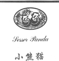 Lesser Panda