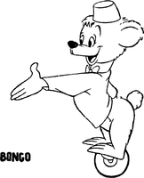 BONGO