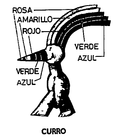 CURRO