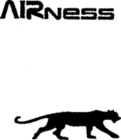 AIRness