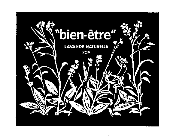bien-être