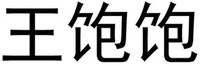 WANG BAO BAO