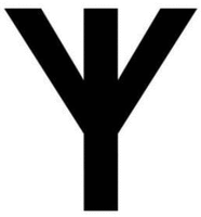 Y