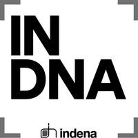 IN DNA indena