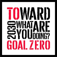 TOWARD 2030 WHAT ARE YOU DOING? GOAL ZERO