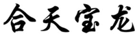 HE TIAN BAO LONG