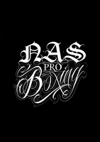 NAS Pro Boxing