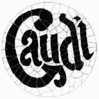 Gaudi