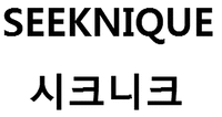 SEEKNIQUE