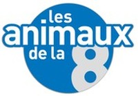 les animaux de la 8