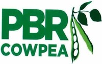 PBR COWPEA