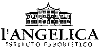 l'ANGELICA ISTITUTO ERBORISTICO