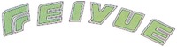 FEIYUE