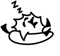 Z Z