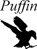 Puffin