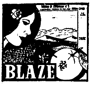 BLAZE
