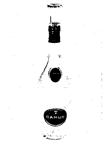CAMUS