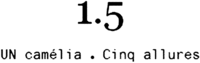 1.5 UN camélia . Cinq allures