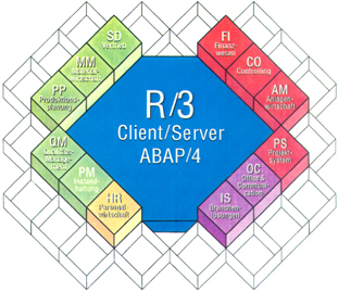 R/3 Client/Server ABAP/4