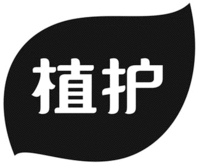ZHI HU