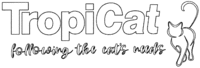 TropiCat following the cat's needs