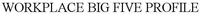 WORKPLACE BIG FIVE PROFILE