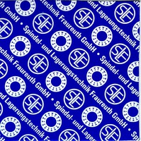 Spindel- und Lagerungstechnik Fraureuth GmbH