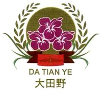 DA TIAN YE