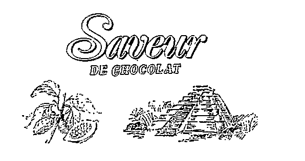 Saveur DE CHOCOLAT