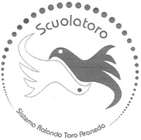 Scuolatoro Sistema Rolando Toro Araneda
