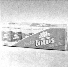 lotus