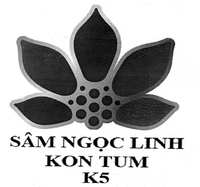 SÂM NGỌC LINH KON TUM K5