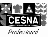 CESNA MADE IN KAZAKHSTAN Professional