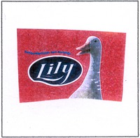 Lily