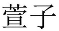 XUAN ZI