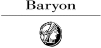 Baryon