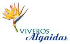 VIVEROS Algaidas