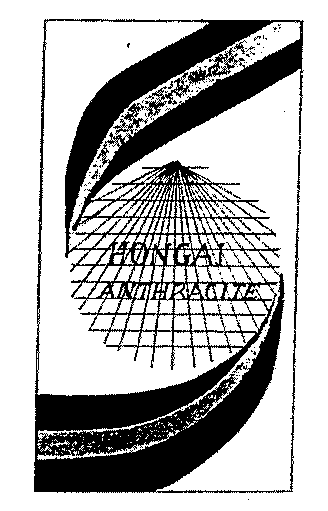 HONGAI ANTHRACITE