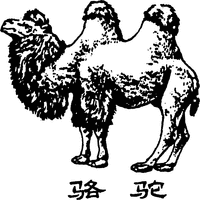  LUO TUO. 