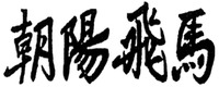 CHAO YANG FEI MA