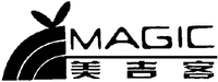 MAGIC
