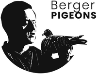 Berger PIGEONS