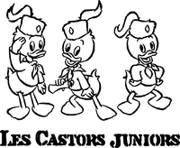 LES CASTORS JUNIORS