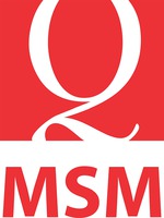 2 MSM