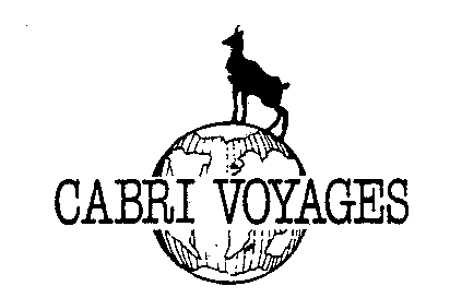 CABRI VOYAGES