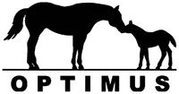 OPTIMUS