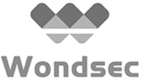 Wondsec