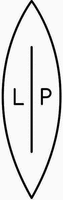 LIP