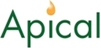 Apical