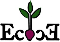 Ec cE